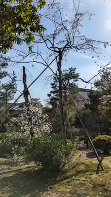 等持院(京都府)