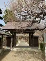 地蔵院(東京都)