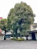 蓮乗寺(東京都)