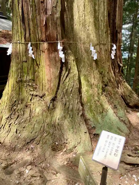 鷲子山上神社の自然
