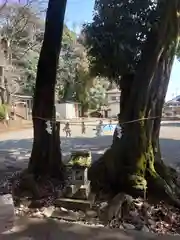 阿豆佐味天神社(東京都)