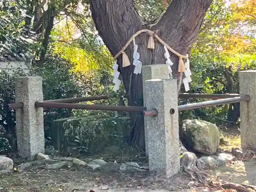 聖天宮 西江寺(大阪府)