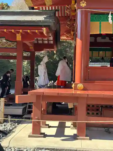 鶴岡八幡宮(神奈川県)