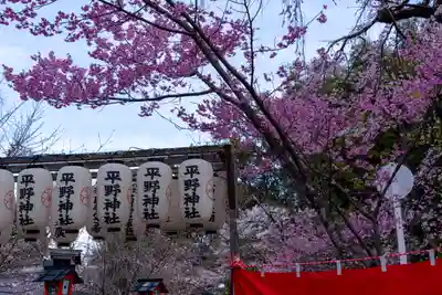 平野神社(京都府)