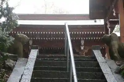 阿久津「田村神社」(郡山市阿久津町)旧社名:伊豆箱根三嶋三社の狛犬