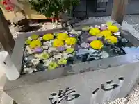 蛇窪神社の手水舎