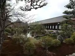 蓮華王院（三十三間堂）の庭園