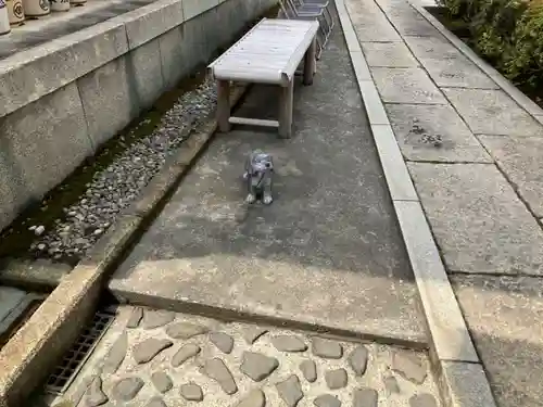 本妙院(東京都)