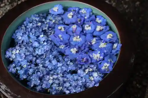 上尾御嶽神社の手水舎