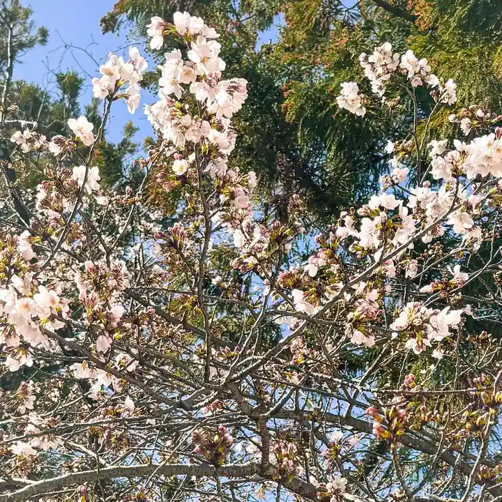 伊勢の国 四天王寺(三重県)