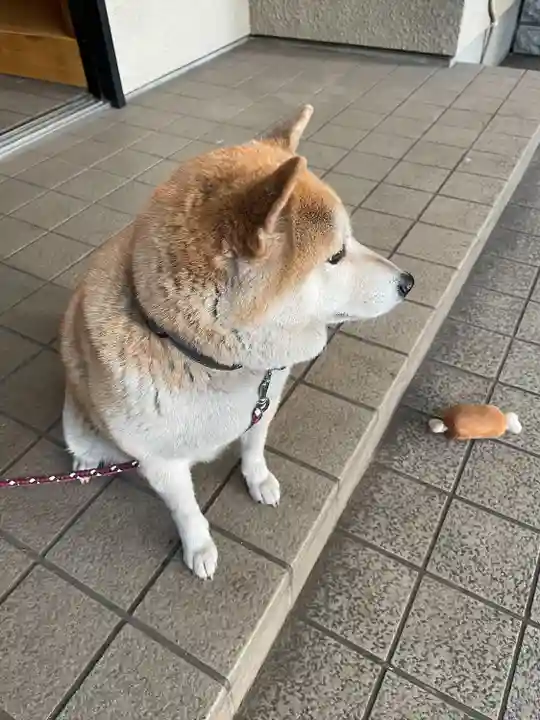 笠䅣稲荷神社(神奈川県)