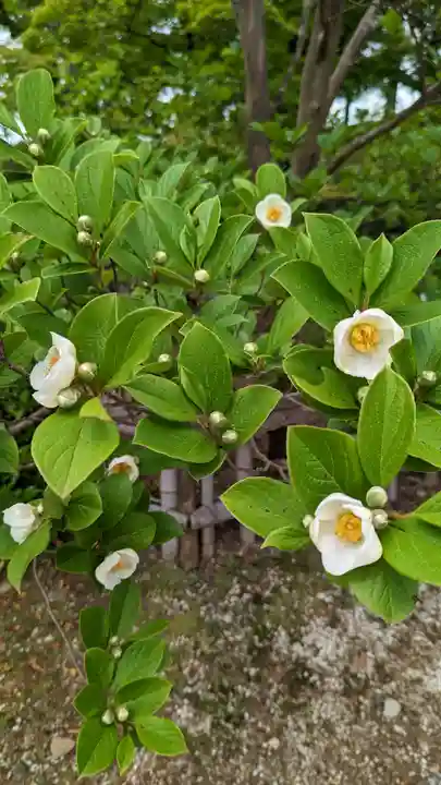 真正極楽寺(真如堂)(京都府)