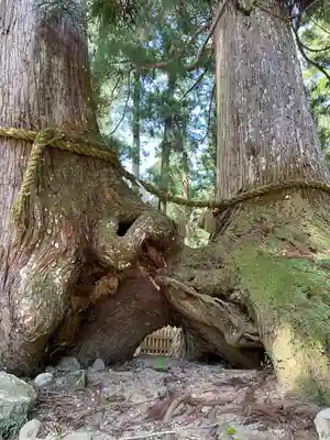 室生龍穴神社(奈良県)