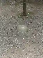 奥宮(鹿島神宮摂社)(茨城県)