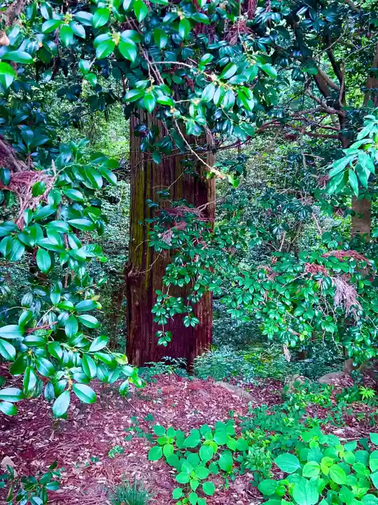 一之宮貫前神社(群馬県)