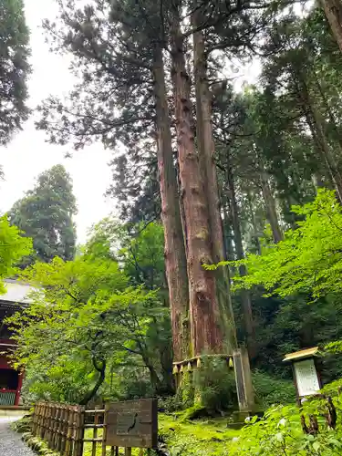 御岩神社(茨城県)