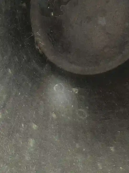 方広寺(京都府)