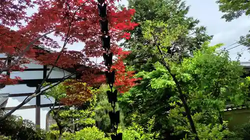 霊源院(京都府)