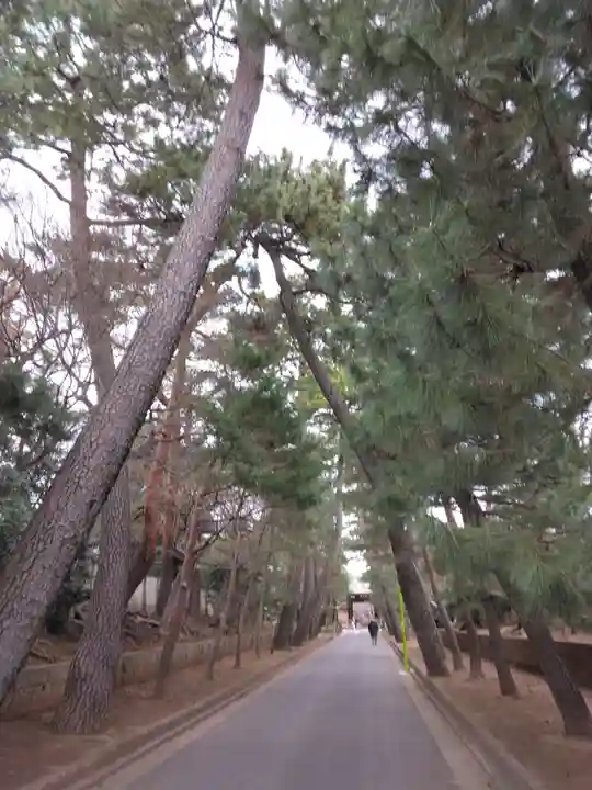 豪徳寺(東京都)