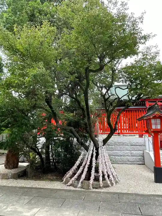 馬橋稲荷神社の自然