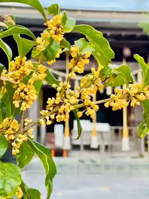 仙台八坂神社(宮城県)