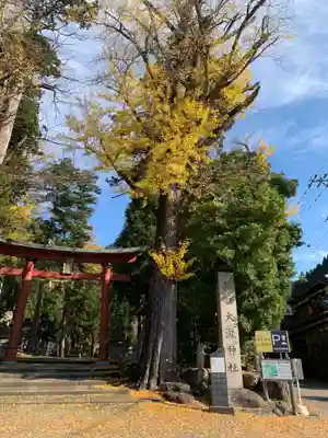 岡太神社・大瀧神社(福井県)