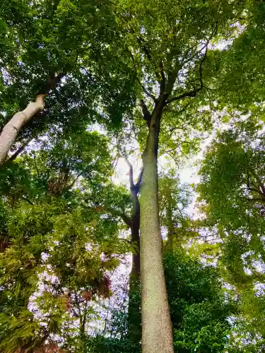 星宮神社の{uncategorized: "未分類", other: "その他", undefined: "問題あり", building: "その他建物", grave: "お墓", sacred_gate: "鳥居", guardian: "狛犬", statue: "像", buddha: "仏像", history: "歴史", nature: "自然", garden: "庭園", animal: "動物", pagoda: "塔", temizu: "手水舎", mountain_gate: "山門・神門", sanctuary: "本殿・本堂", subordinate: "末社・摂社", art: "芸術", scenery: "景色", jizo: "地蔵", ema: "絵馬", goshuin: "御朱印", omikuji: "おみくじ", items: "授与品その他", amulet: "お守り", goshuincho: "御朱印帳", eats: "食事", festival: "お祭り", votive_dance: "神楽", shichigosan: "七五三参", wedding: "結婚式", experience: "体験その他", initially: "初詣", around: "周辺", anti_infection: "感染症対策"}