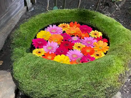 菅生神社の手水舎