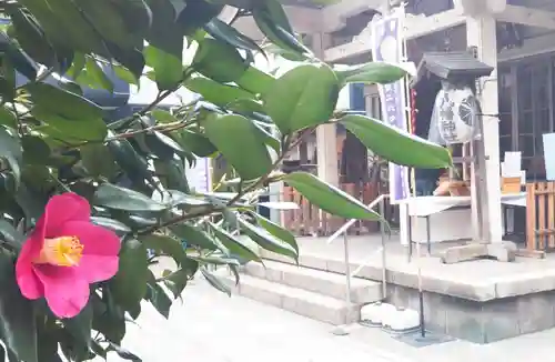 銀杏岡八幡神社の自然