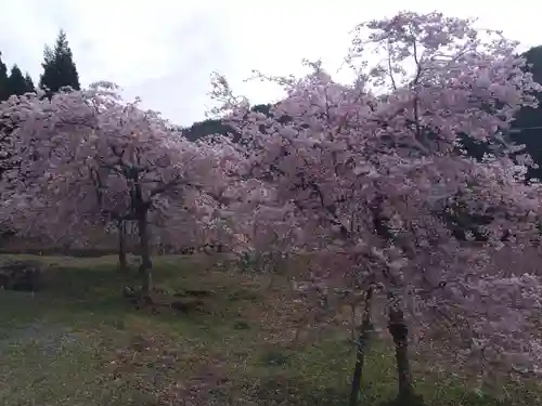 熊野神社(京都府)
