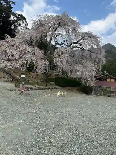 妙祐寺(福井県)