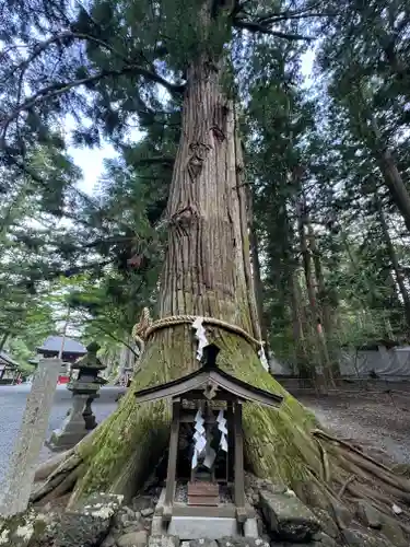北口本宮冨士浅間神社(山梨県)