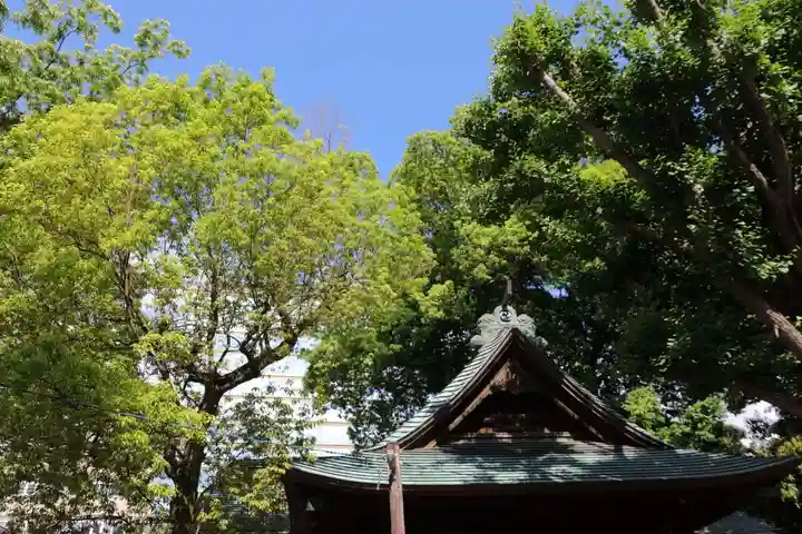 阿邪訶根神社の本殿・本堂