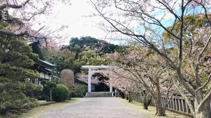 安房神社(千葉県)