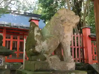 手向山八幡宮の狛犬