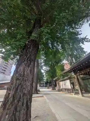 亀有香取神社(東京都)