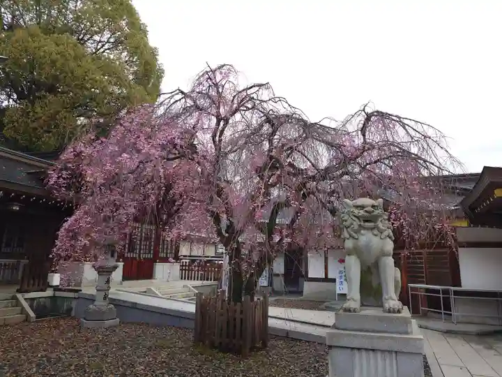 速谷神社(広島県)