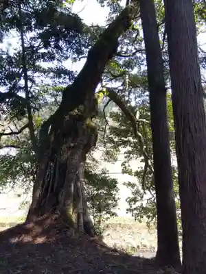 西側神社(福井県)