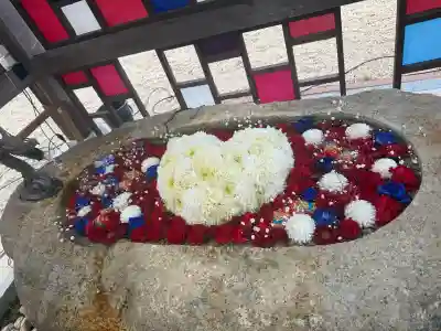 金井神社の{uncategorized: "未分類", other: "その他", undefined: "問題あり", building: "その他建物", grave: "お墓", sacred_gate: "鳥居", guardian: "狛犬", statue: "像", buddha: "仏像", history: "歴史", nature: "自然", garden: "庭園", animal: "動物", pagoda: "塔", temizu: "手水舎", mountain_gate: "山門・神門", sanctuary: "本殿・本堂", subordinate: "末社・摂社", art: "芸術", scenery: "景色", jizo: "地蔵", ema: "絵馬", goshuin: "御朱印", omikuji: "おみくじ", items: "授与品その他", amulet: "お守り", goshuincho: "御朱印帳", eats: "食事", festival: "お祭り", votive_dance: "神楽", shichigosan: "七五三参", wedding: "結婚式", experience: "体験その他", initially: "初詣", around: "周辺", anti_infection: "感染症対策"}