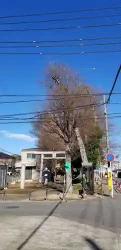 明治神社の鳥居