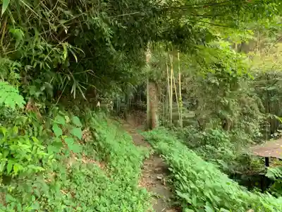 八幡大神社の周辺