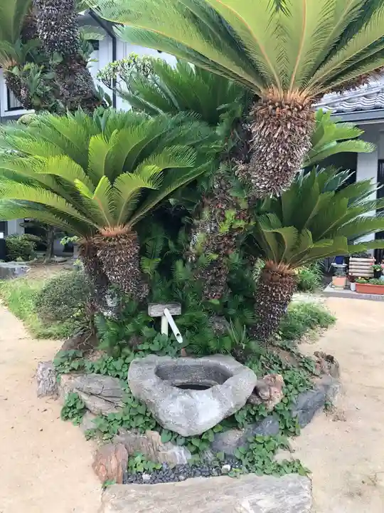 浄厳寺の手水舎