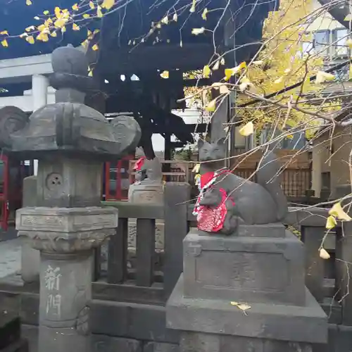 浅草神社の狛犬