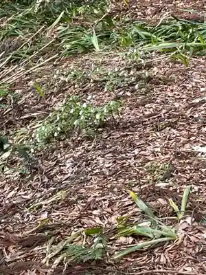 国上寺(新潟県)