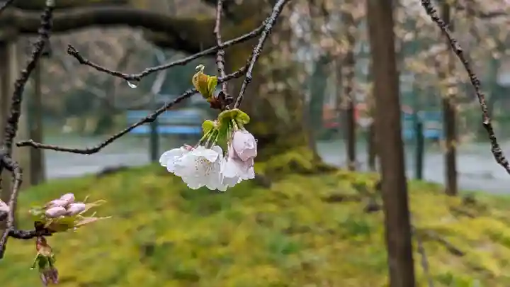 大原野神社(京都府)