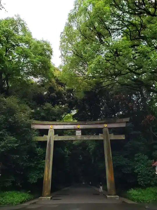 明治神宮の鳥居
