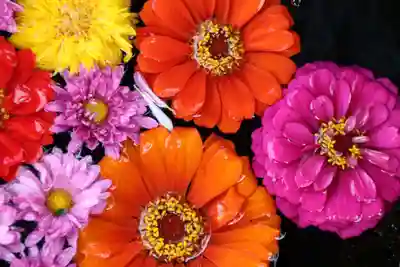 大鏑神社の手水舎