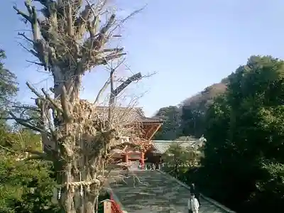 鶴岡八幡宮のその他建物