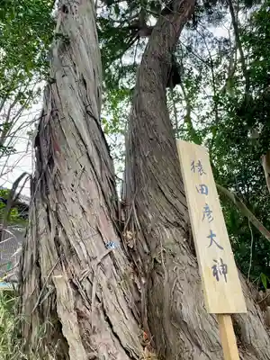 星宮神社(栃木県)
