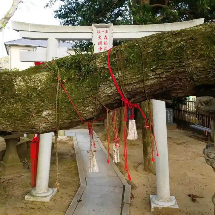 森稲荷大明神の自然